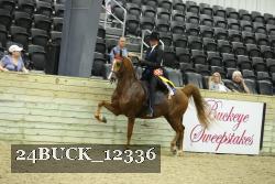 24BUCK_12336 proof