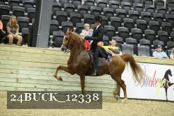 24BUCK_12338 proof