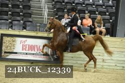 24BUCK_12339 proof