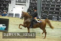 24BUCK_12343 proof