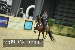 24BUCK_12347 proof