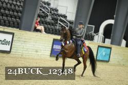 24BUCK_12348 proof