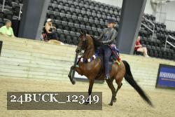 24BUCK_12349 proof