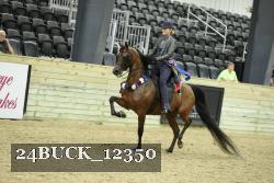24BUCK_12350 proof