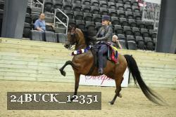 24BUCK_12351 proof