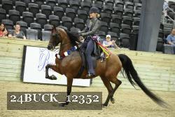 24BUCK_12352 proof