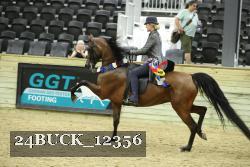 24BUCK_12356 proof