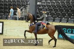 24BUCK_12357 proof