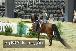 24BUCK_12360 proof