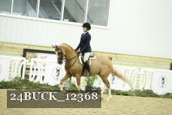 24BUCK_12368 proof