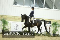 24BUCK_12377 proof
