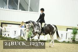 24BUCK_12379 proof