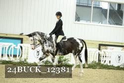 24BUCK_12381 proof