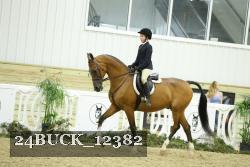 24BUCK_12382 proof