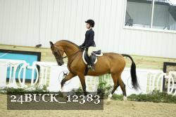 24BUCK_12383 proof