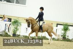 24BUCK_12384 proof