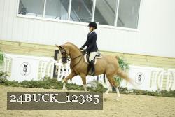 24BUCK_12385 proof