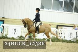 24BUCK_12386 proof