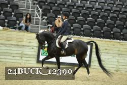 24BUCK_12390 proof