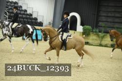 24BUCK_12393 proof