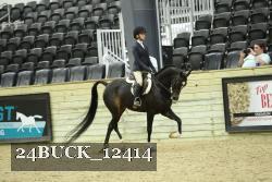 24BUCK_12414 proof