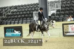 24BUCK_12417 proof