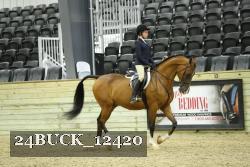 24BUCK_12420 proof
