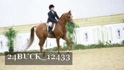 24BUCK_12433 proof