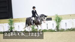 24BUCK_12437 proof