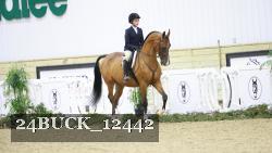 24BUCK_12442 proof