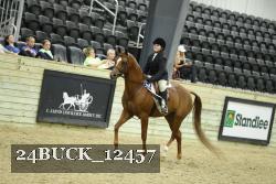 24BUCK_12457 proof