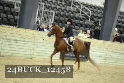24BUCK_12458 proof