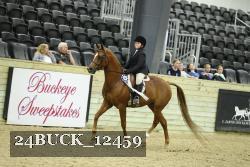 24BUCK_12459 proof