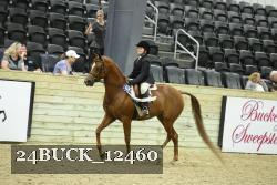 24BUCK_12460 proof