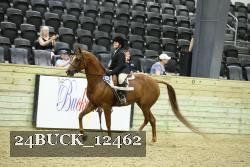 24BUCK_12462 proof