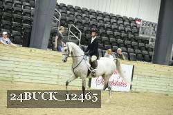 24BUCK_12465 proof