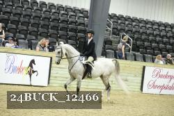 24BUCK_12466 proof