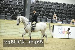 24BUCK_12468 proof