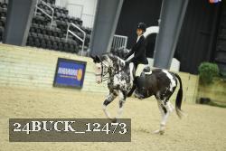 24BUCK_12473 proof