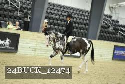 24BUCK_12474 proof