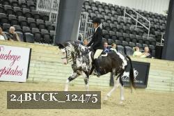 24BUCK_12475 proof