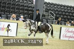 24BUCK_12479 proof