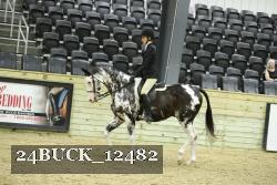 24BUCK_12482 proof