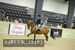 24BUCK_12485 proof