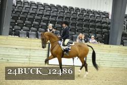 24BUCK_12486 proof