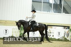24BUCK_12528 proof