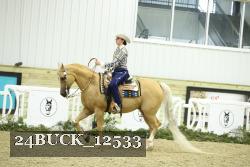 24BUCK_12533 proof