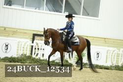 24BUCK_12534 proof