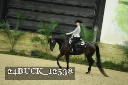 24BUCK_12538 proof