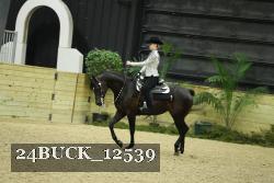 24BUCK_12539 proof